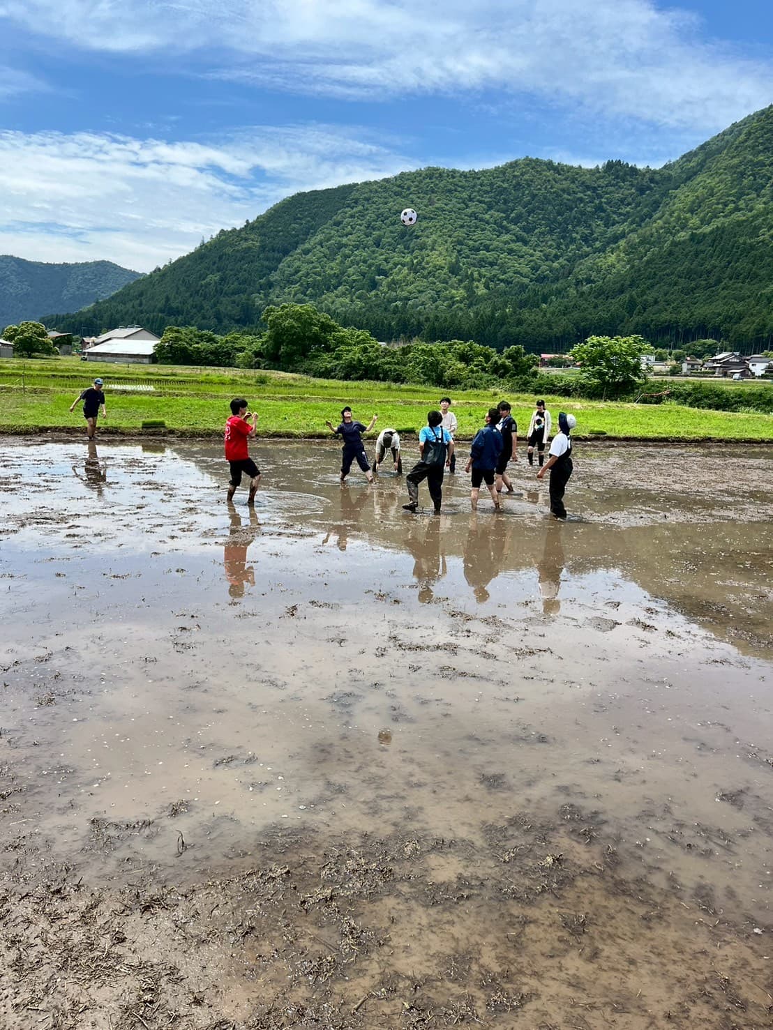 田植え