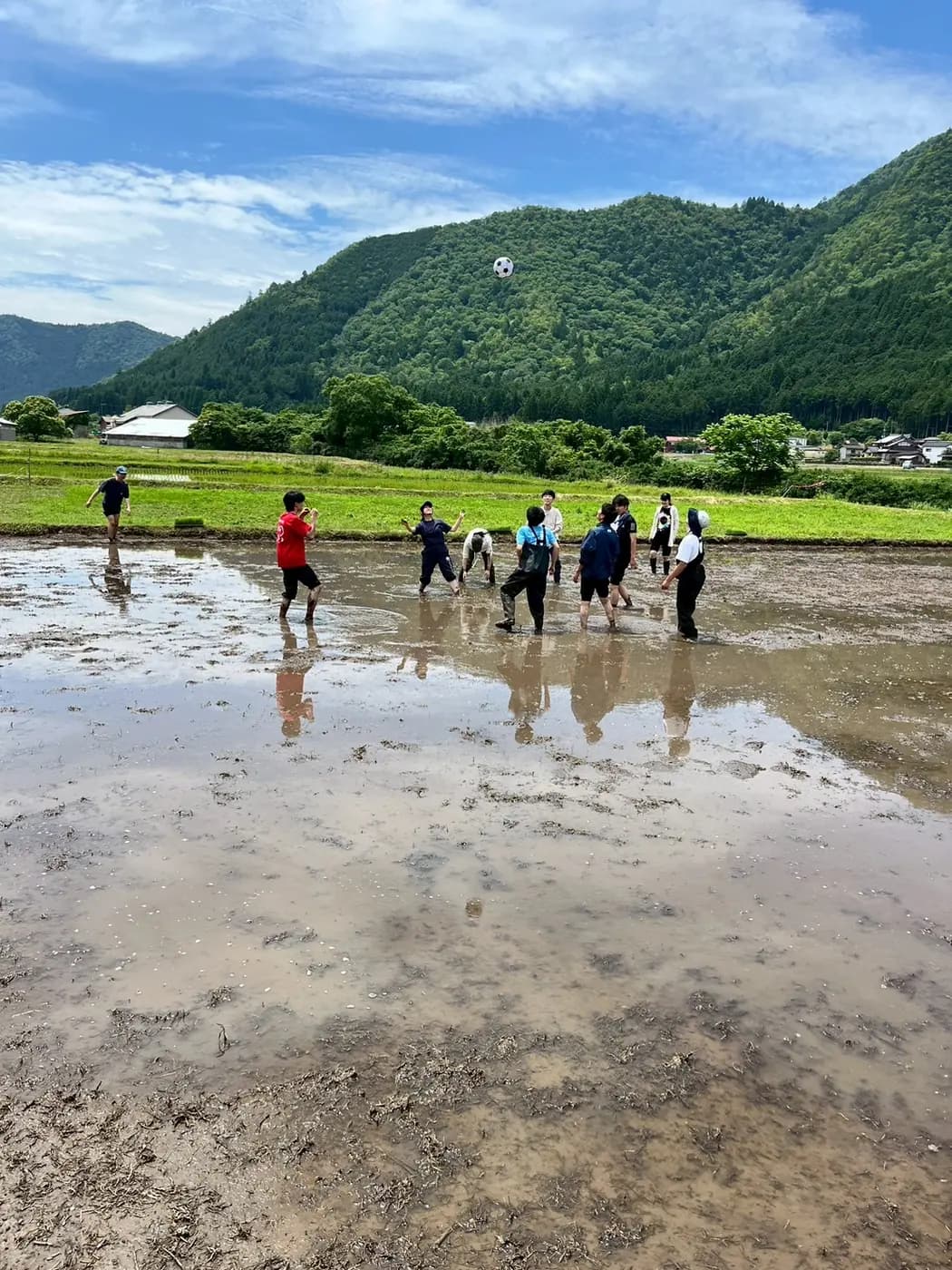 水を張った田んぼで田植えをする子どもたちと学生